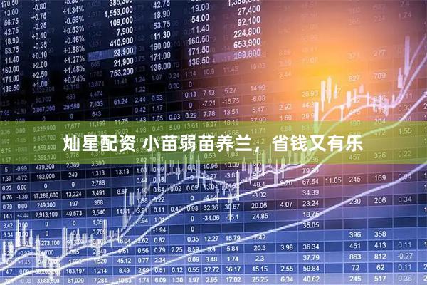 灿星配资 小苗弱苗养兰，省钱又有乐